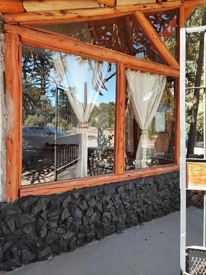 Ensueno Del Alma Vila Villa Pehuenia Exterior foto